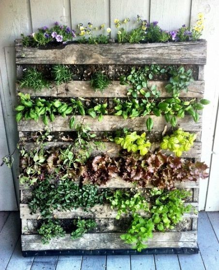 vertical garden DIY pallet project